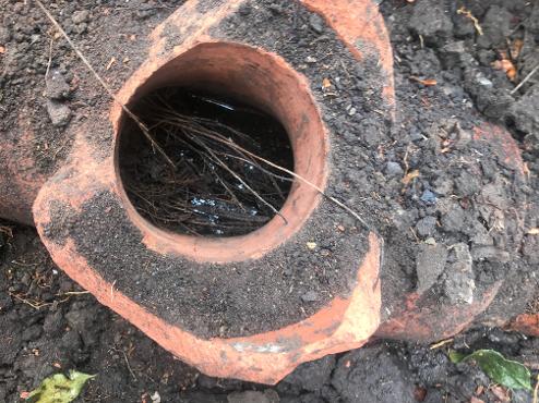 Cracked clay pipe from older Hobart home with drainage issues